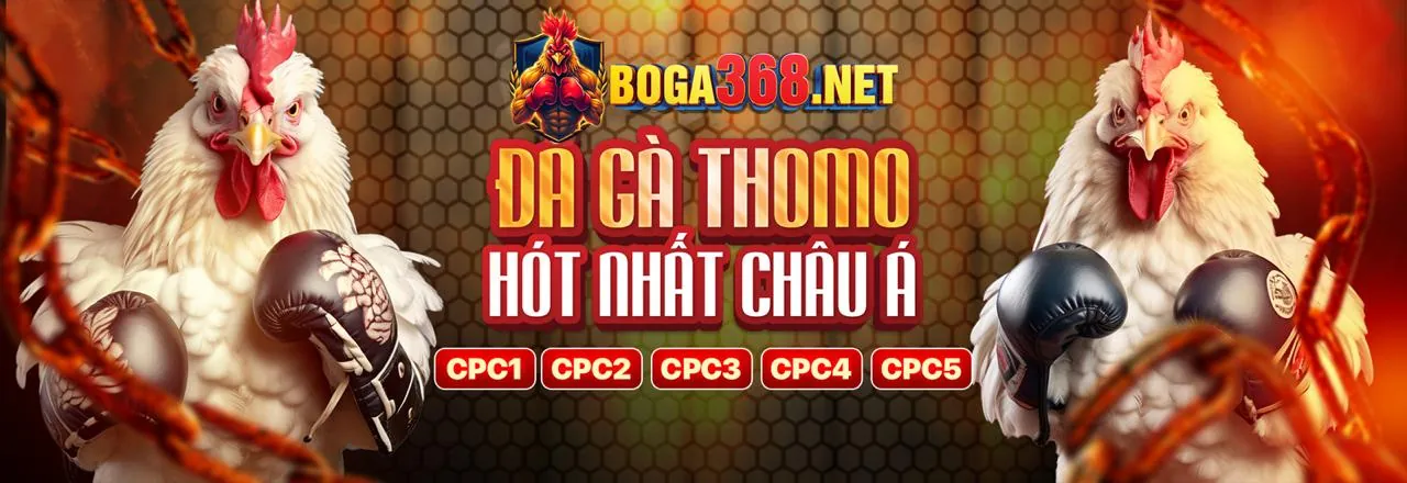 Hình ảnh đại diện chương trình VIP vip88 casino