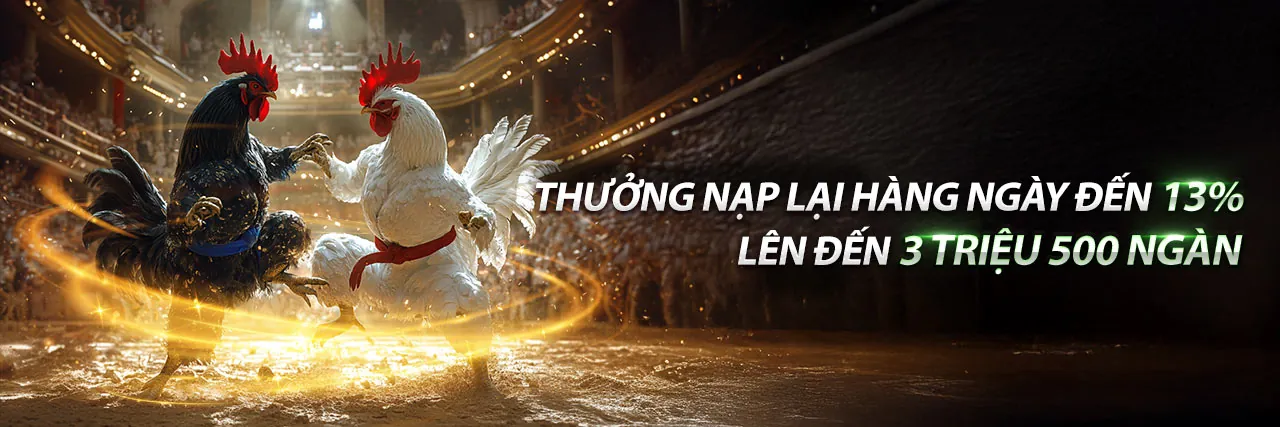 Đá Gà Trực Tiếp vnwin - Sân Chơi Hấp Dẫn