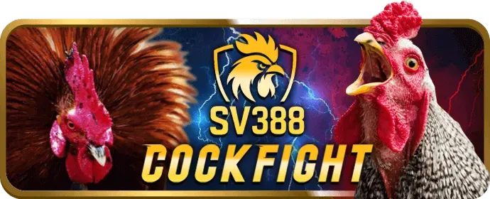 Mẹo chơi game bài vnwin